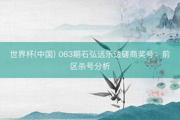 世界杯(中国) 063期石弘远乐透磋商奖号：前区杀号分析