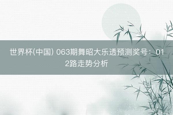 世界杯(中国) 063期舞昭大乐透预测奖号：012路走势分析