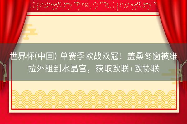 世界杯(中国) 单赛季欧战双冠！盖桑冬窗被维拉外租到水晶宫，获取欧联+欧协联
