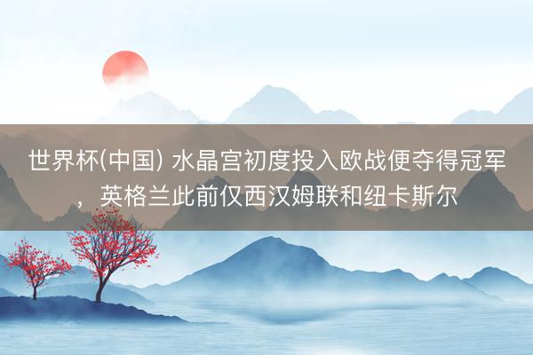 世界杯(中国) 水晶宫初度投入欧战便夺得冠军，英格兰此前仅西汉姆联和纽卡斯尔