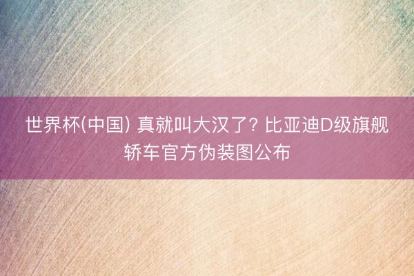 世界杯(中国) 真就叫大汉了? 比亚迪D级旗舰轿车官方伪装图公布