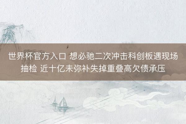 世界杯官方入口 想必驰二次冲击科创板遇现场抽检 近十亿未弥补失掉重叠高欠债承压