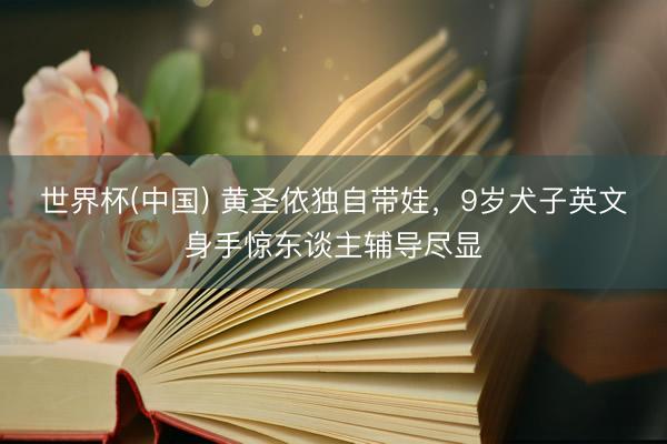 世界杯(中国) 黄圣依独自带娃，9岁犬子英文身手惊东谈主辅导尽显