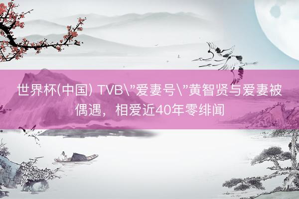世界杯(中国) TVB