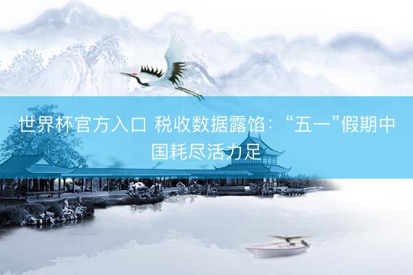 世界杯官方入口 税收数据露馅：“五一”假期中国耗尽活力足