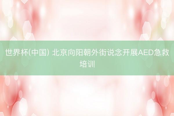 世界杯(中国) 北京向阳朝外街说念开展AED急救培训