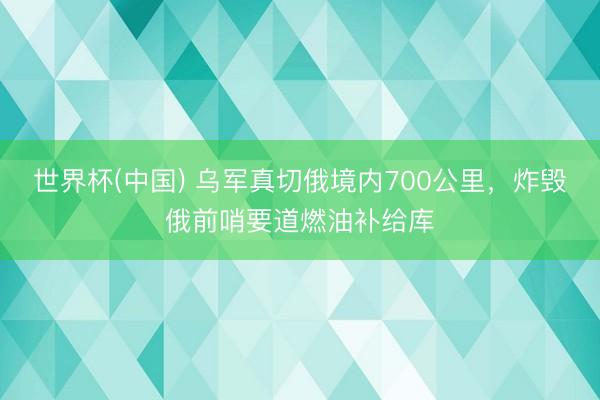 世界杯(中国) 乌军真切俄境内700公里，炸毁俄前哨要道燃油补给库